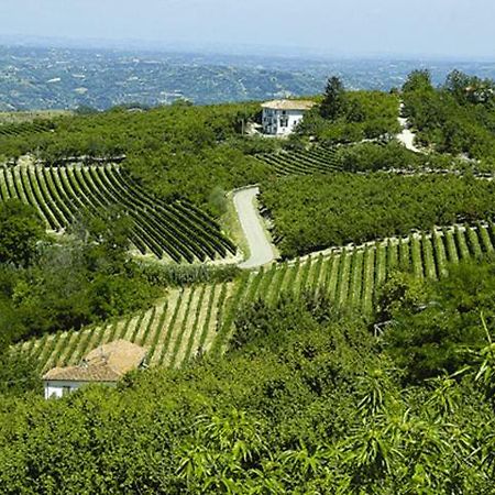 Agriturismo Cascina Anri Mango Kültér fotó