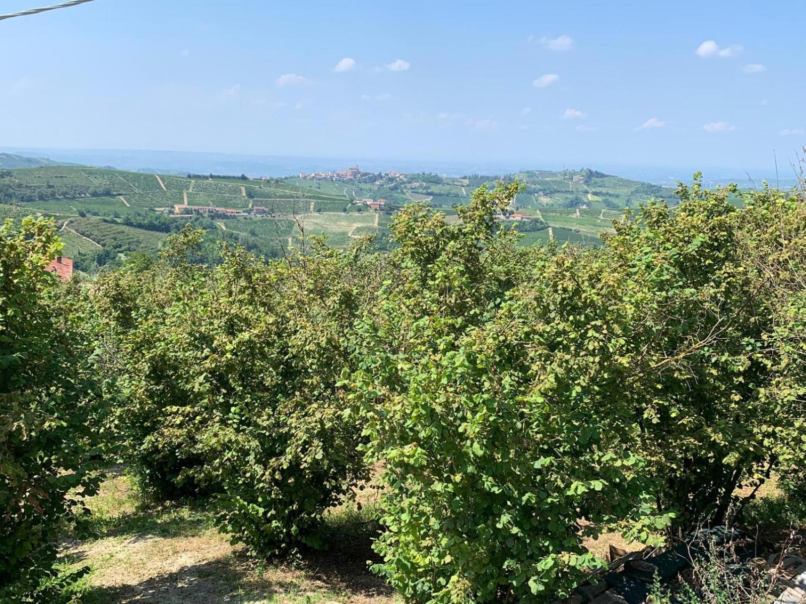 Agriturismo Cascina Anri Mango Kültér fotó